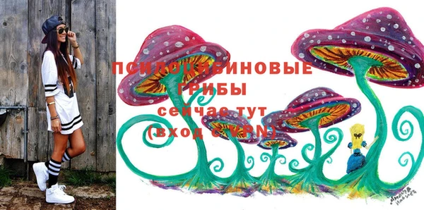 гашик Волоколамск