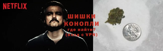 гашик Волоколамск