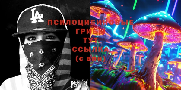 гашик Волоколамск