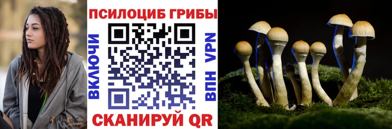 Псилоцибиновые грибы мухоморы  Вуктыл 